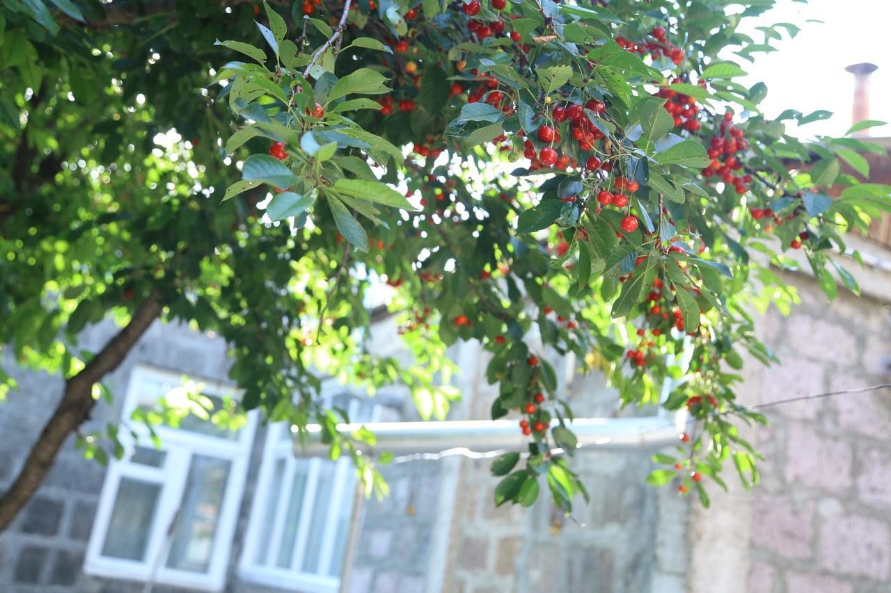 Guest House David'S B&B Γκιουμρί Εξωτερικό φωτογραφία