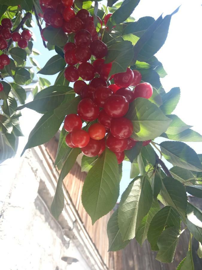 Guest House David'S B&B Γκιουμρί Εξωτερικό φωτογραφία