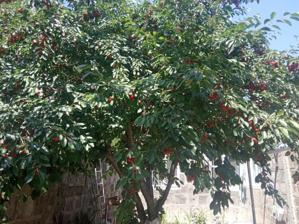Guest House David'S B&B Γκιουμρί Εξωτερικό φωτογραφία